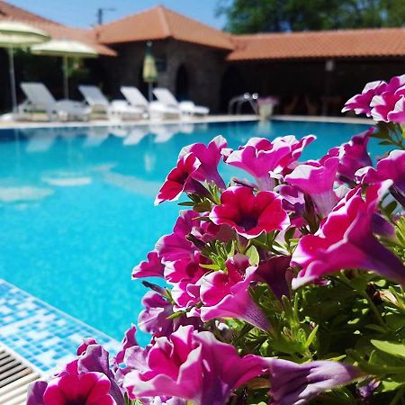 Hunting Residence Asteya Gramatikovo Екстер'єр фото