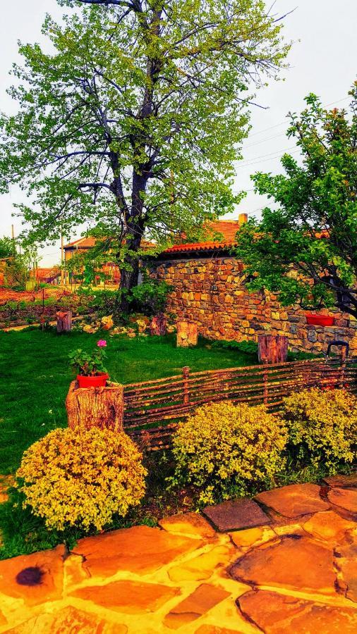 Hunting Residence Asteya Gramatikovo Екстер'єр фото